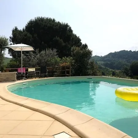 Rosy25 Guest house